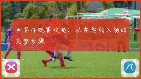世界杯观赛攻略：从购票到入场的完整步骤