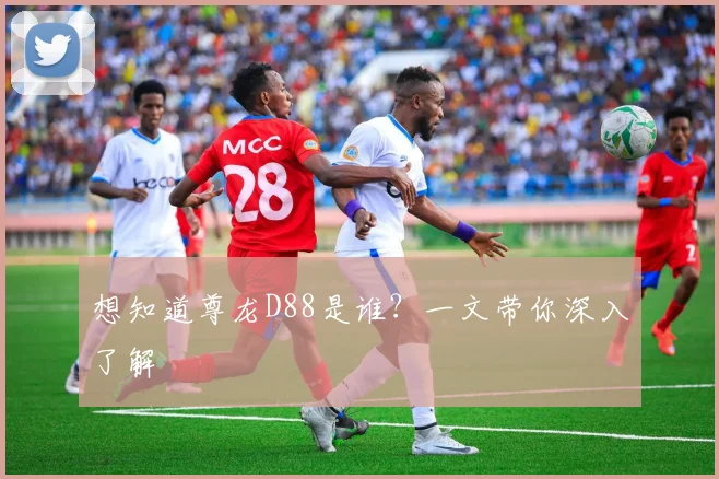 想知道尊龙D88是谁?一文带你深入了解