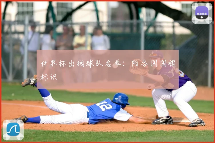 世界杯出线球队名单：附各国国旗标识