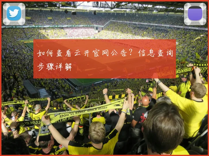 如何查看云开官网公告？信息查询步骤详解