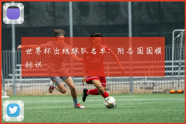 世界杯出线球队名单：附各国国旗标识