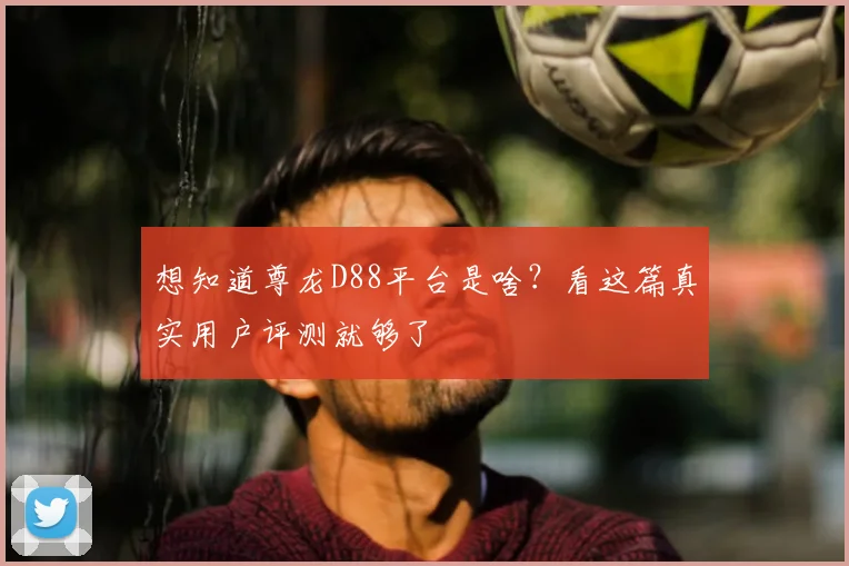 想知道尊龙D88平台是啥？看这篇真实用户评测就够了